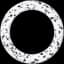 Guide Ring